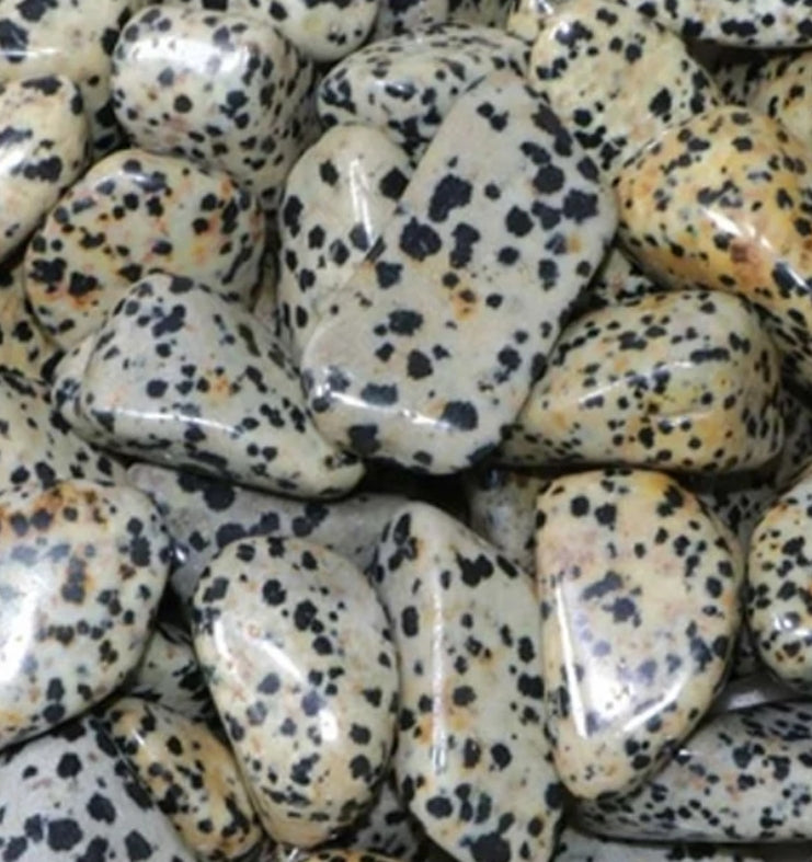 Jaspe dalmatien